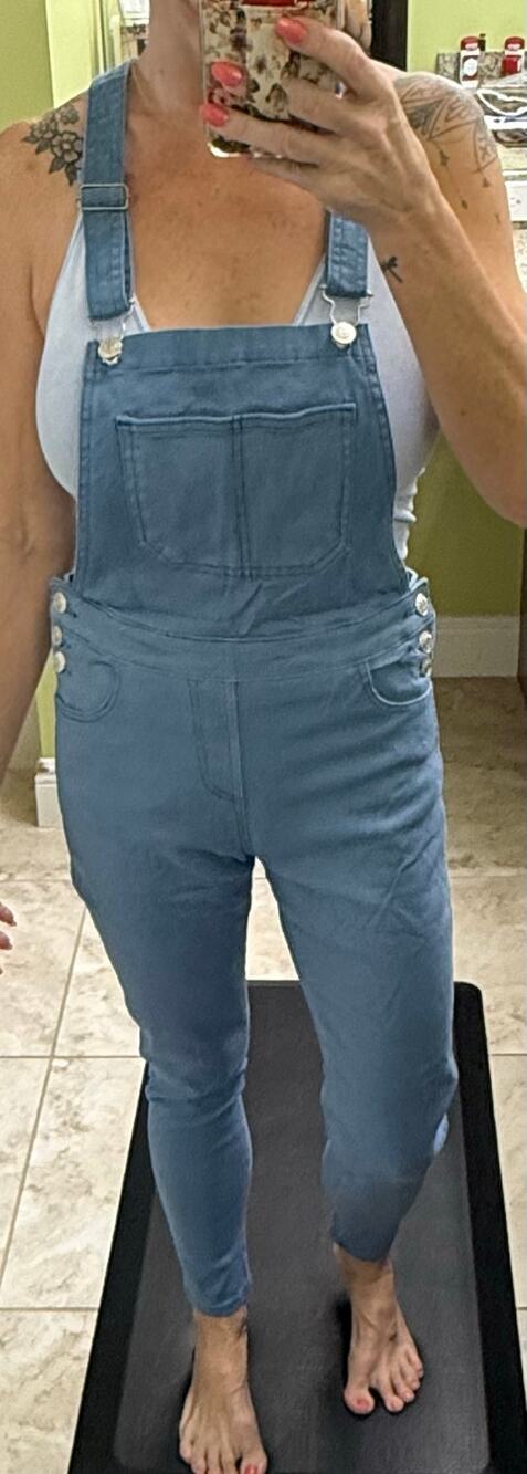 Fantastic Fawn NWOT slate blue bibs overalls small 99% cotton ($68) straight leg